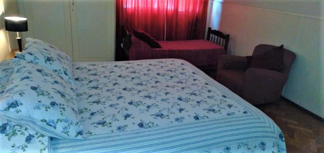 Alamo Hostel & Suites メンドーサ エクステリア 写真